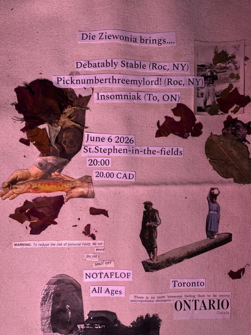 Die Ziewonia presents Debatably Stable, picknumberthreemylord!, and Insomniak 