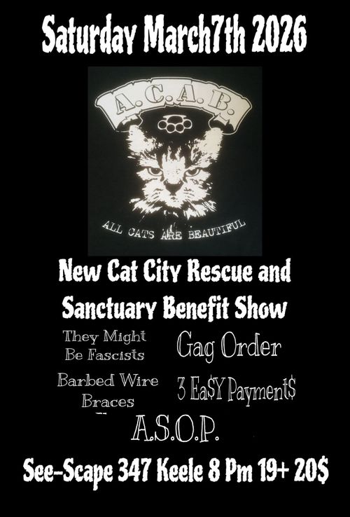 New Cat City Rescue and Sanctuary benefit show