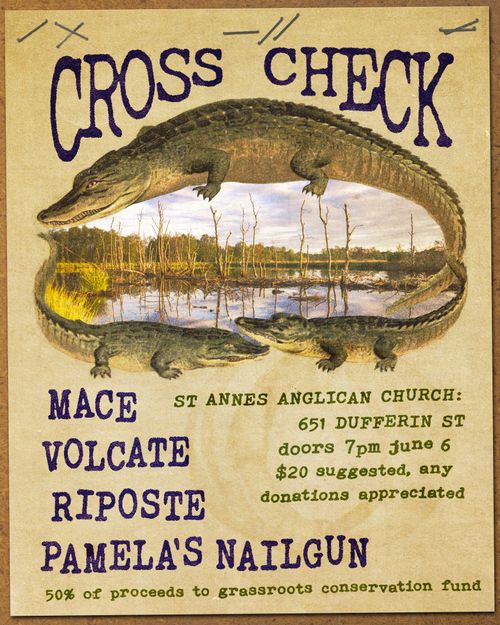 CROSS CHECK