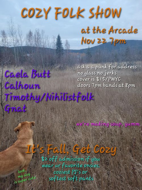 Cozy Folk (punk) Show!